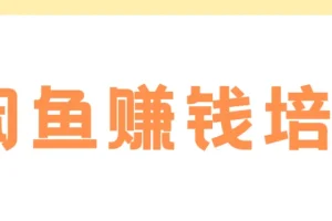 老A闲鱼赚钱培训：从0到1的系统化运营实战课