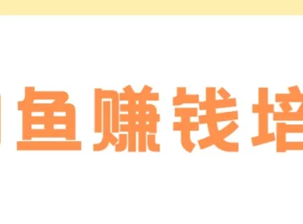 老A闲鱼赚钱培训：从0到1的系统化运营实战课