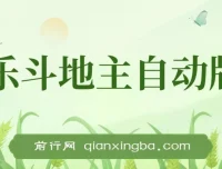 欢乐斗地主全自动挂机打金项目，双号配合稳定收益