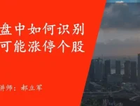 郝立军量化首板实战营：捕捉行情热点，构建短线量化策略模型