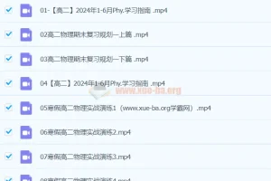 2024高二物理李琳寒假春季班课程合集