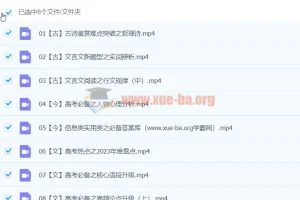 2024高三高考语文 陈瑞春寒假班 系统复习课程