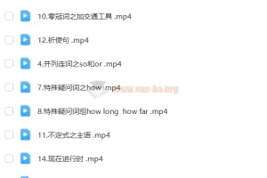 乐乐英语爆笑语法视频教程：轻松掌握英语语法难点