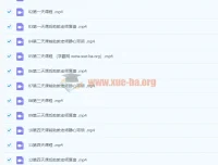 语言的魔力国际教练认证课 完整视频课程