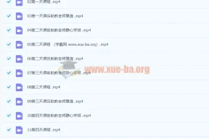 语言的魔力国际教练认证课 完整视频课程