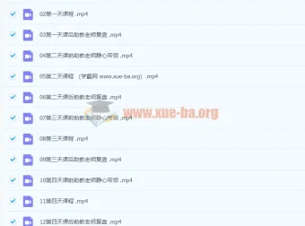 语言的魔力国际教练认证课 完整视频课程