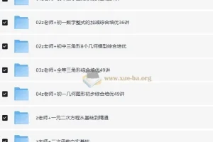 老Z讲数学：初中数学专项提升课程合集