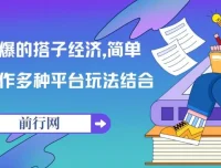 搭子经济变现全攻略：多平台玩法与实操指南
