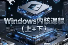 Windows内核课程（上下册）附源码与课件，深入保护模式与调试实战