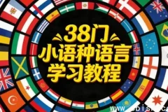 38门小语种语言学习教程合集：从入门到精通，解锁全球沟通新维度