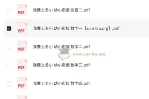 幼小衔接必备：我要上名小（拼音、数学、语言全科资料）
