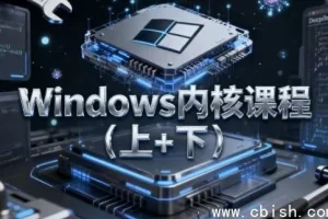 Windows内核课程（上下册）附源码与课件，深入保护模式与调试实战