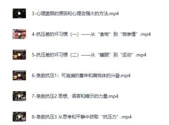 玩转压力：心理灵松明积极情绪养成与压力管理课