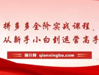 拼多多全阶实战课程：从新手到运营高手，海量玩法全年实时更新