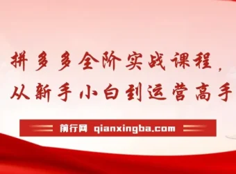 拼多多全阶实战课程：从新手到运营高手，海量玩法全年实时更新