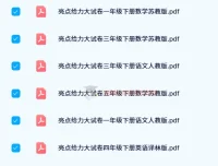 2024春 亮点给力大试卷 1-6年级下册 语文数学英语 人教版苏教版译林版 电子版教辅资料