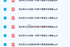 2024春 亮点给力大试卷 1-6年级下册 语文数学英语 人教版苏教版译林版 电子版教辅资料