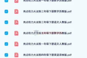 2024春 亮点给力大试卷 1-6年级下册 语文数学英语 人教版苏教版译林版 电子版教辅资料