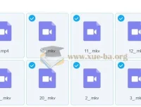 宋茗2023春初二英语春季目标S课程（人教版通用）系统学习资料