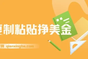 复制粘贴赚美金：零门槛日入95美元实操教程，内部社群首次公开