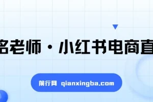 小红书电商运营实战课：直播带货+店铺运营+笔记运营+AI工具赋能全攻略