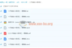 十天搞定六级词汇：便携版——高效速记备考手册