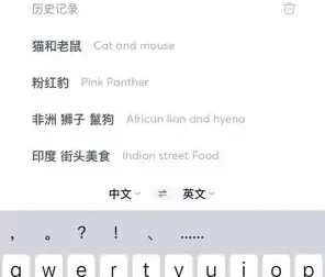 国外美食与视频创业全攻略：从素材搜索到抖音运营