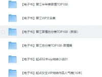 各大平台VIP付费小说合集（TXT格式）