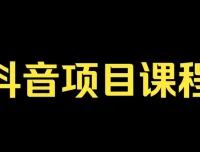 抖音孵化训练课程：从算法到变现，肖掌柜带你玩转抖音电商