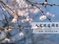 人文花道美学营：跟随谷雨老师，在插花中寻回内心的宁静