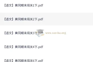 黄冈期末 小学语文闯关1-6年级下册（含1-4、6年级，缺5年级）