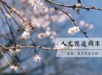 人文花道美学营：跟随谷雨老师，在插花中寻回内心的宁静