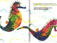 儿童科普绘本《海马先生》PPT课件分享