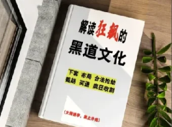 解读《狂飙》中的黑道文化：生存法则与权力逻辑深度解析