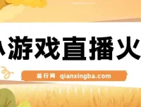 视频号小游戏直播新玩法，零基础也能轻松上手，日入500+实操指南