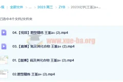 2023高考化学王嫤A+一轮复习 暑假班+秋季班（持续更新）