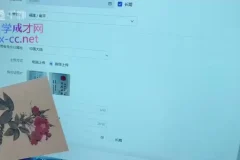 抖音小店运营全攻略：新手到高手的实操指南