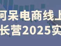 阿呆电商线上成长营2025实操课程