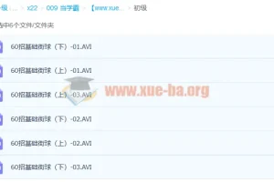 140招街球篮球初中高级教学视频合集