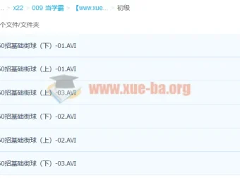 140招街球篮球初中高级教学视频合集