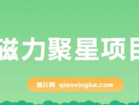 磁力聚星无人直播项目教程，24小时自动变现，支持矩阵操作