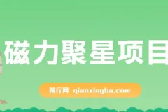 磁力聚星无人直播项目教程，24小时自动变现，支持矩阵操作