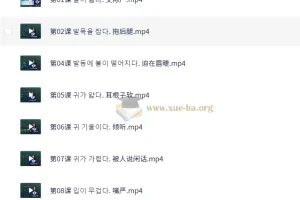 学韩语做疯狂韩语达人60课时 地道韩语惯用语实战教程