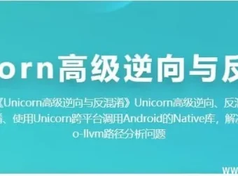 Unicorn高级逆向工程与代码反混淆实战教程