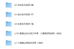 戴建业老师B站微课合集（MP4视频）