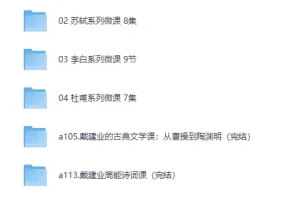 戴建业老师B站微课合集（MP4视频）