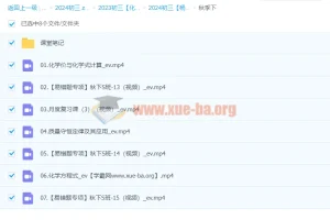 2024初三中考化学 杨雯智S秋季班（下）系统课程
