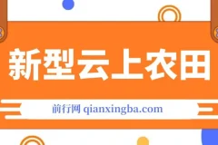 新型云上农田：全民种田收米，无人机播种助力管道收益