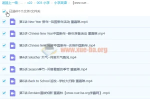 董嘉琳小学三年级英语寒假班7讲完结