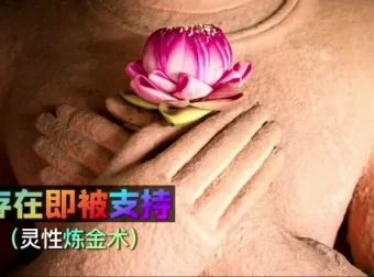 詹唐宁《显化心法高阶课》：11节系统课程+12项练习，解锁心想事成的内在力量
